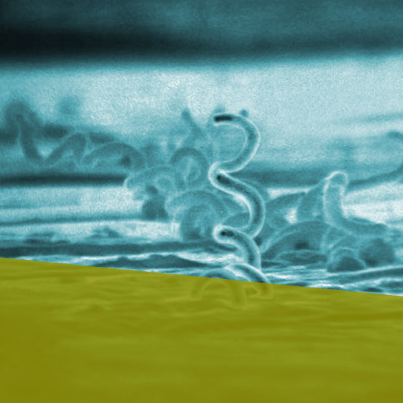 Spot on – developing new diagnostic tools